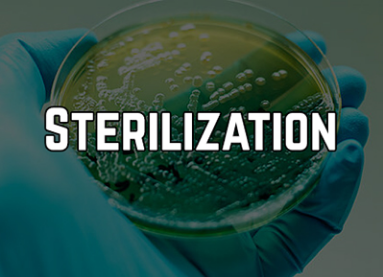 Sterilization of Pharmaceutical Products and Medical Devices