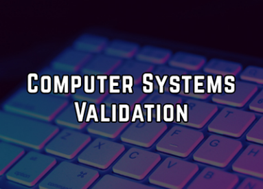 FDA Computer System Audit – Best Preparation Practices