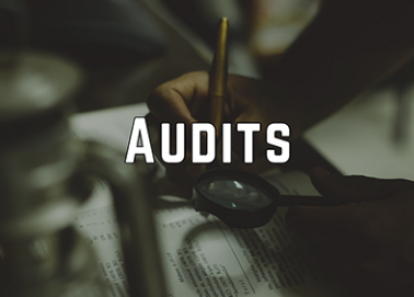 Remote Auditing for Medical Device Companies