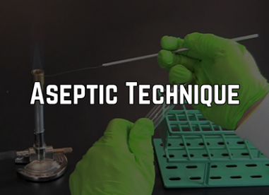 3-Hour Virtual Seminar on Aseptic Technique and Cleanroom Behavior – Avoiding Human Error