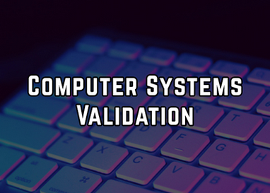 6-Hour Virtual Seminar on Computer System Validation for Cloud and COTS Applications
