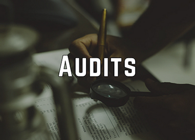 Conducting Successful Quality Audits