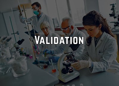 Master Validation Plan (MVP) - An Effective Streamlining Technique
