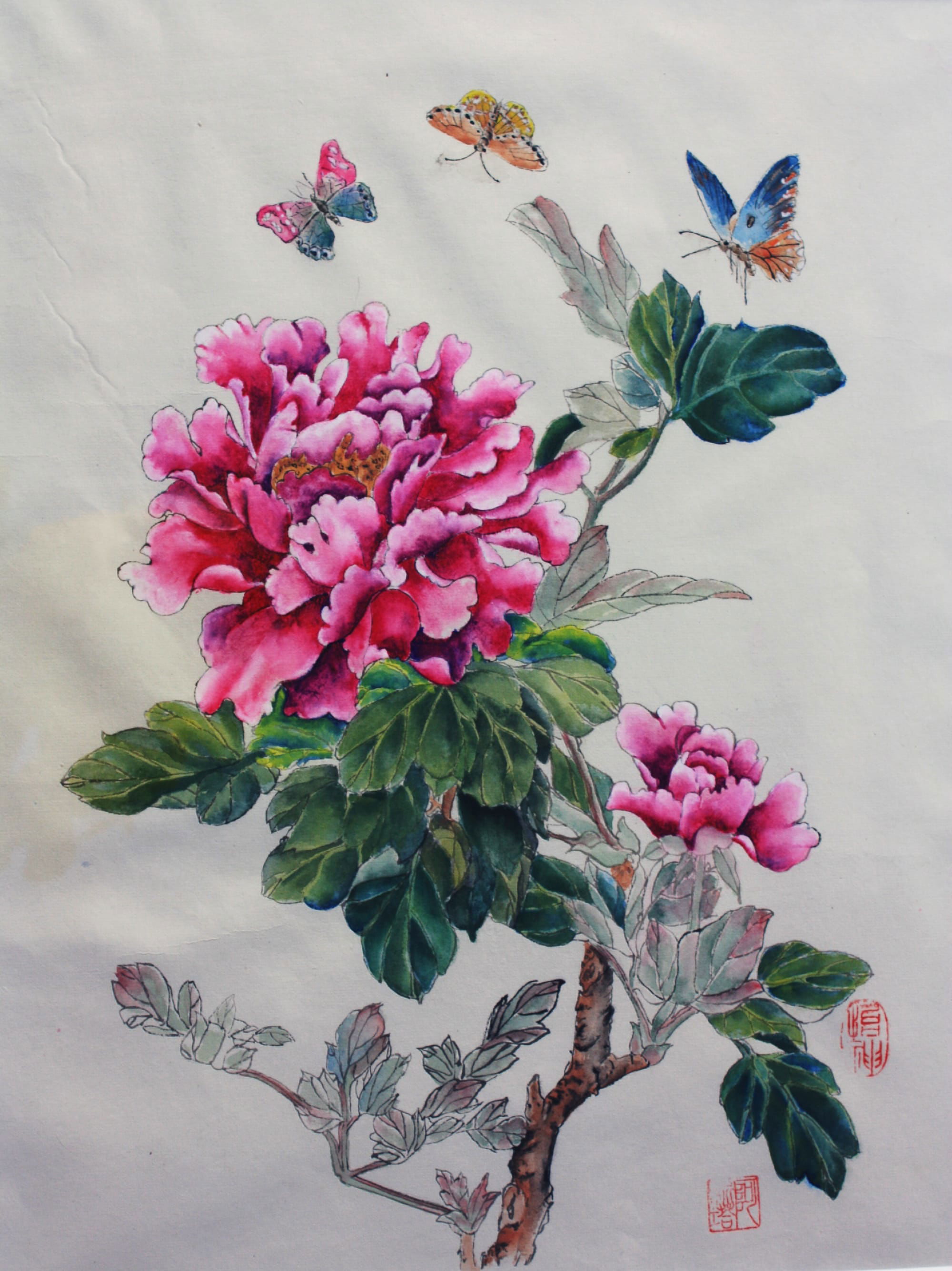 Peonies and Butterflies