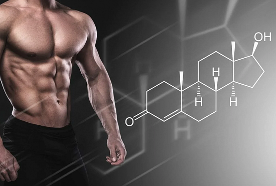 Testosterone levels increase results TESTOLAN