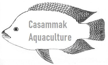 Casammak Aquaculture