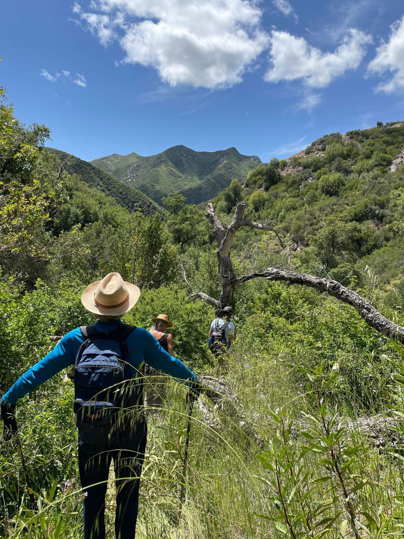 Loving the Mountains: The Zen of Hiking & Yoga