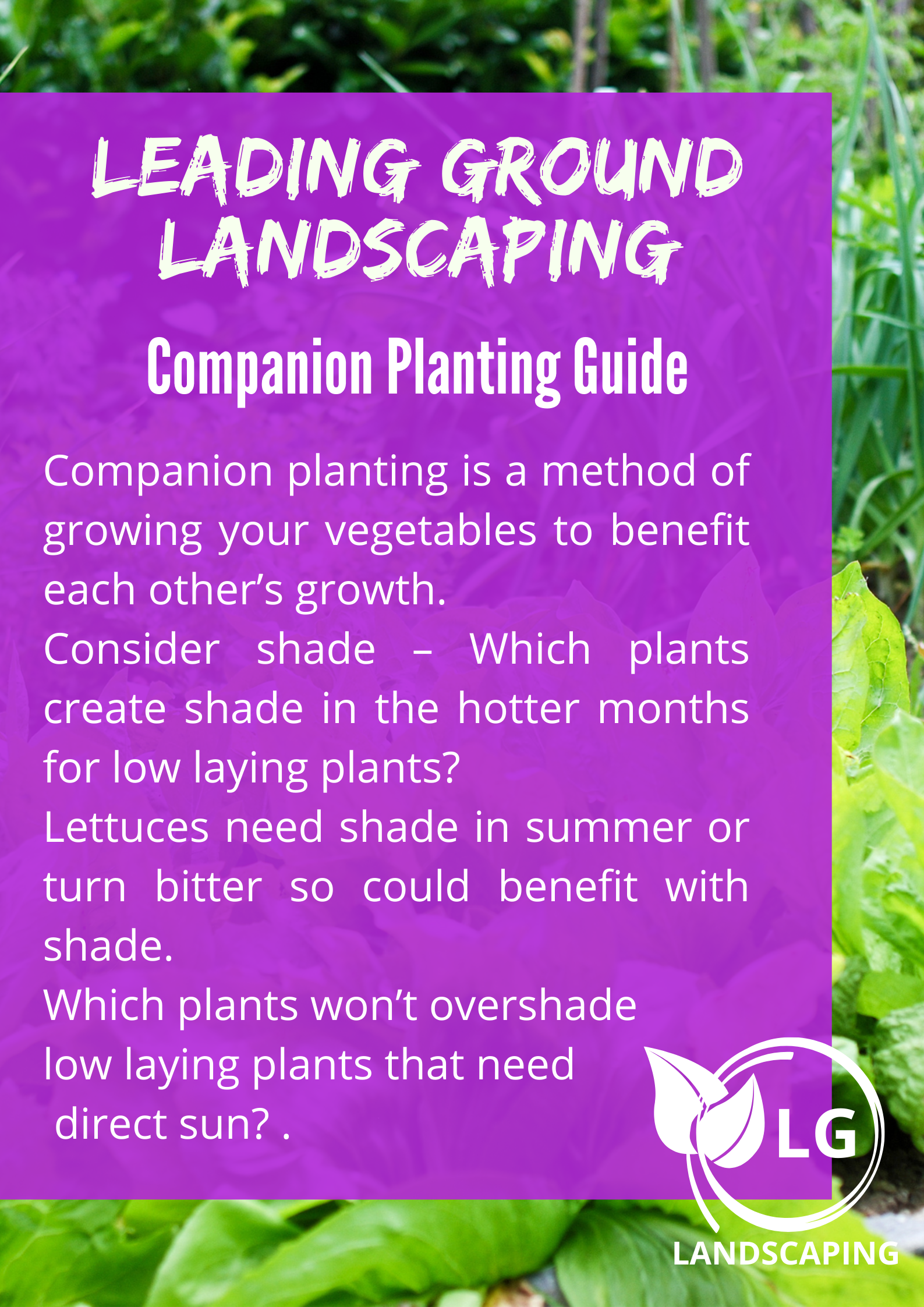 Companion Planting Guide