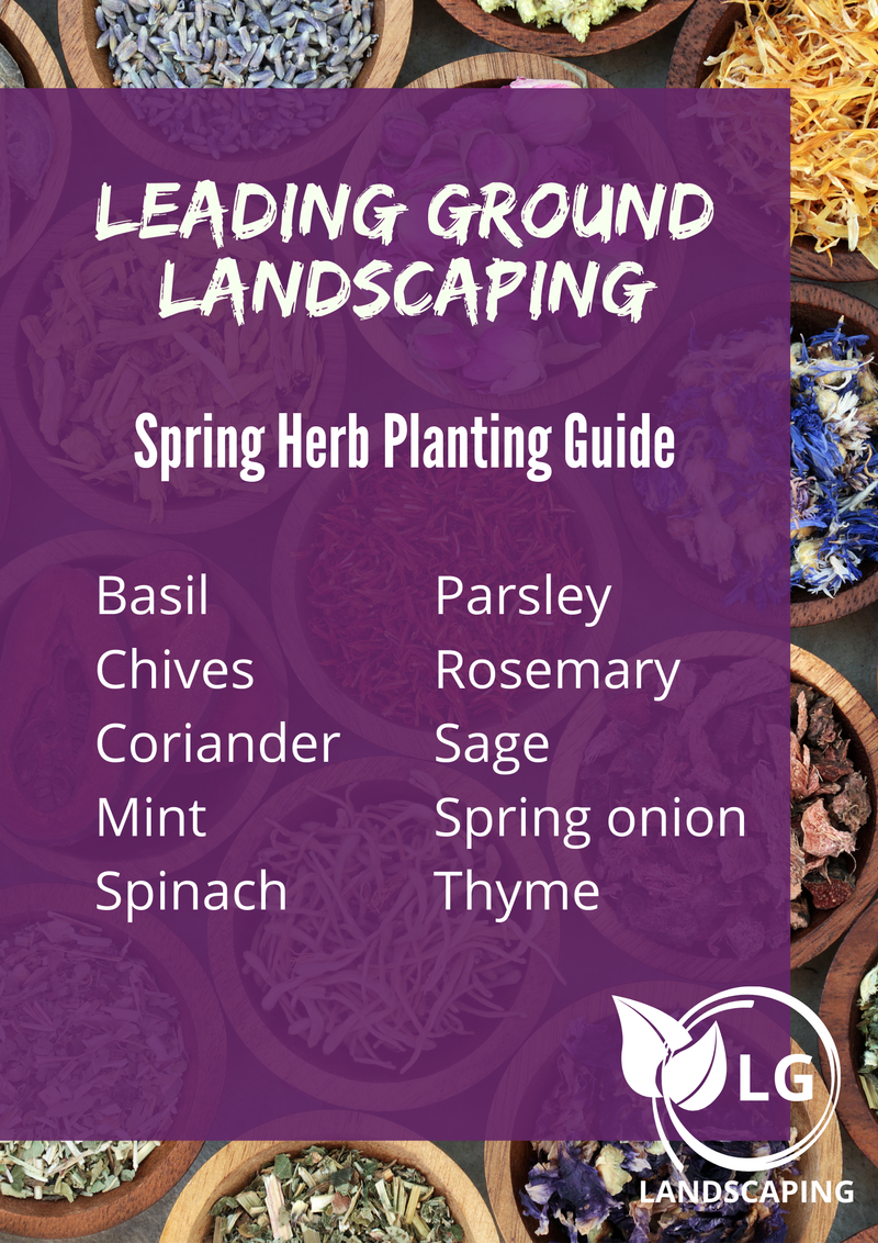 Spring Planting Guides Leading Ground Landscaping