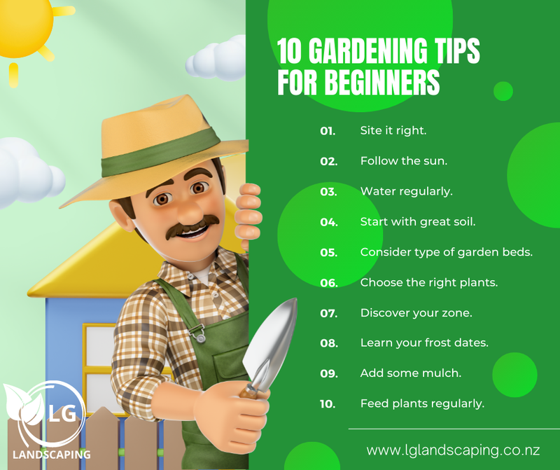 10 Gardening Tips For Beginners - Leading Ground Landscaping