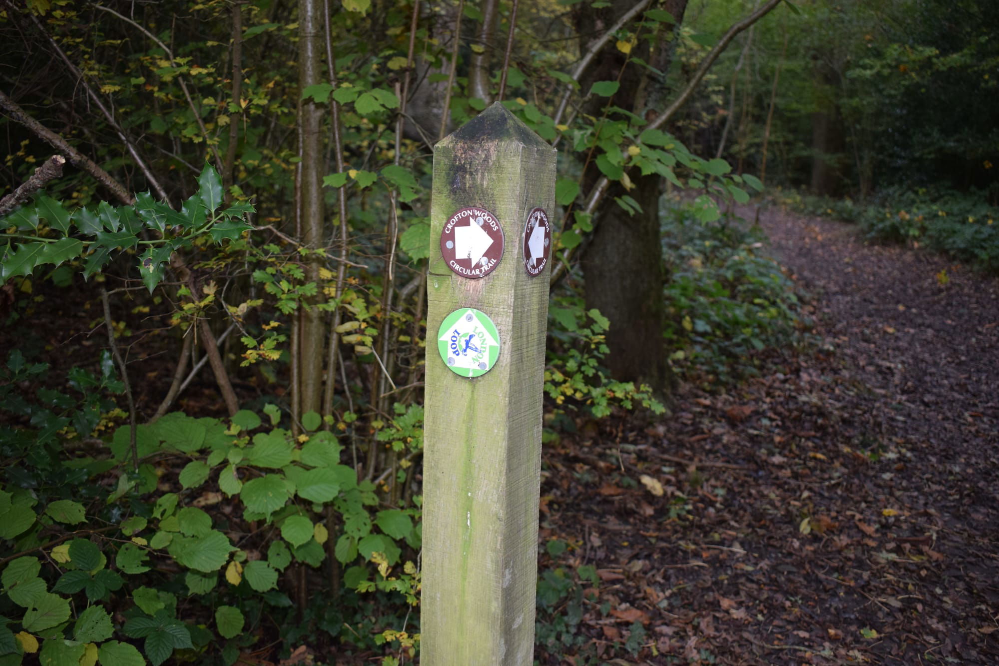 London Loop passes through the heart of the woods