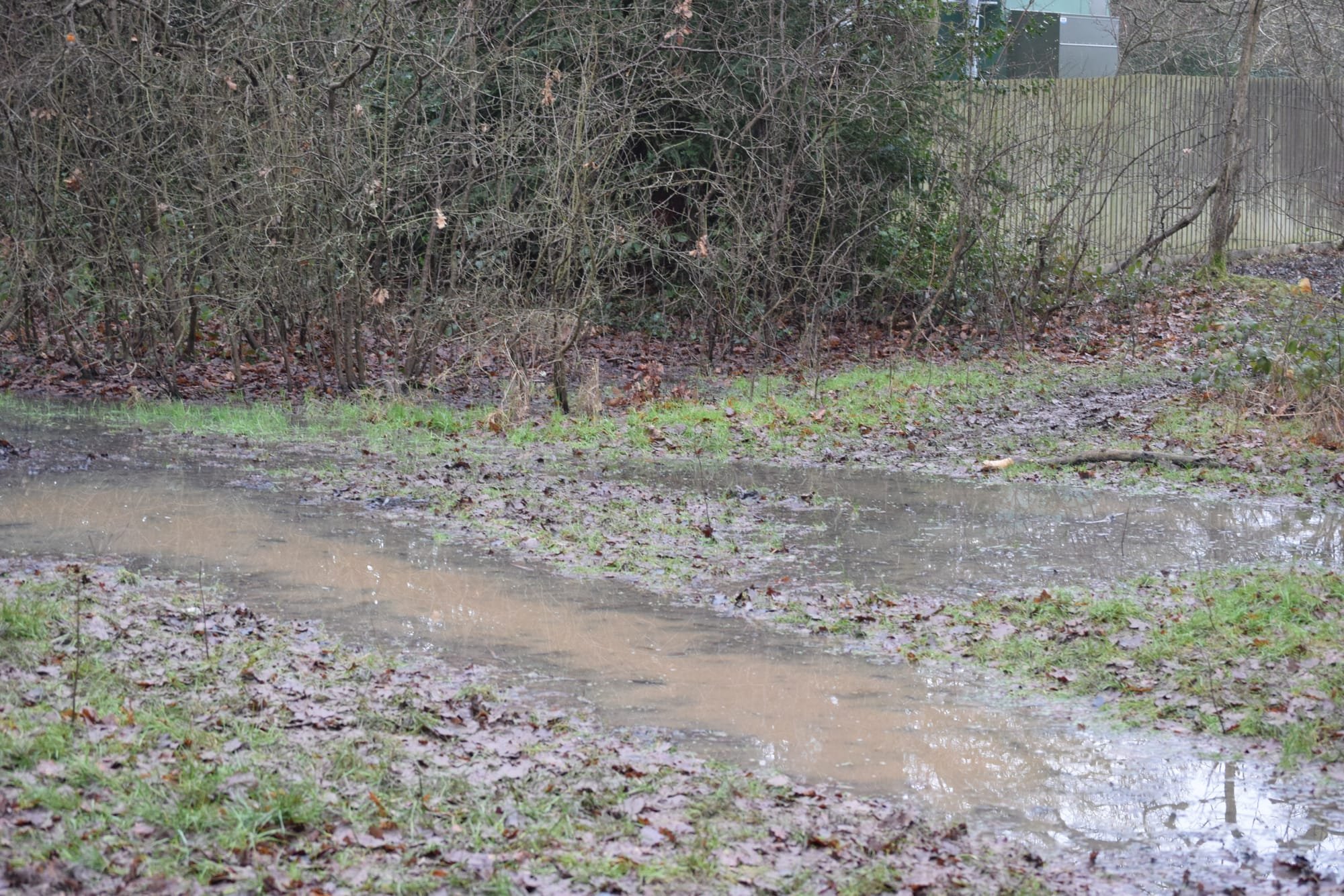 Wet winter conditions make paths ponds