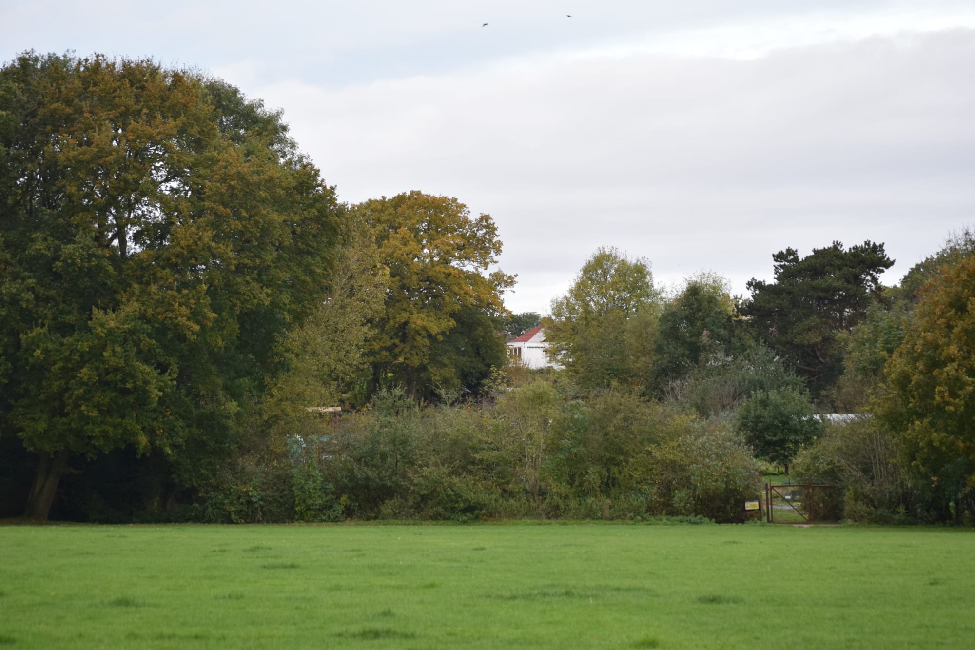 Playing fields are next to allotments