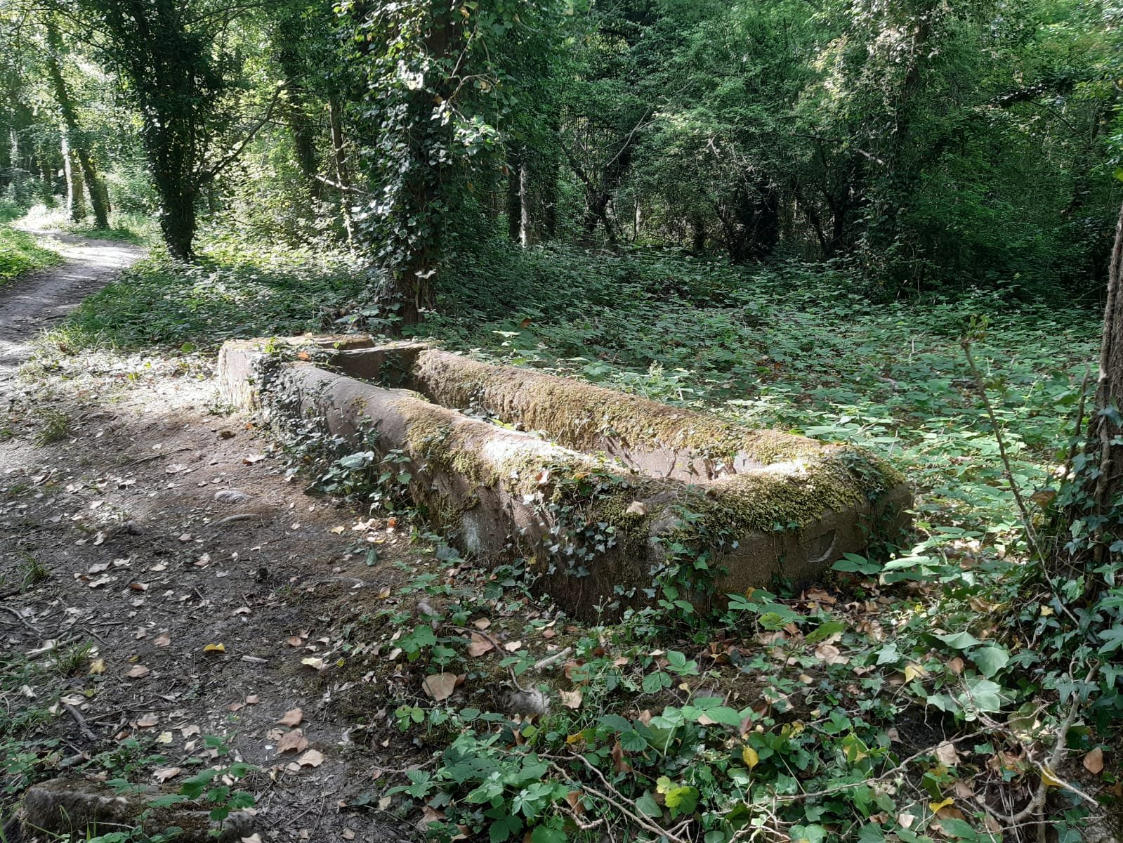 The horse trough once watered horses coming up the hill on the track from Bromley Common