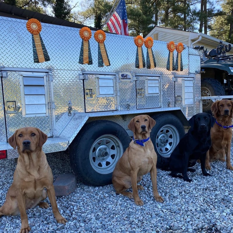 Hunt Test Training