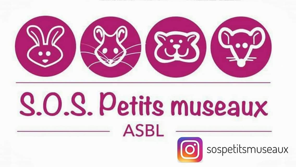 SOS Petits Museaux ASBL