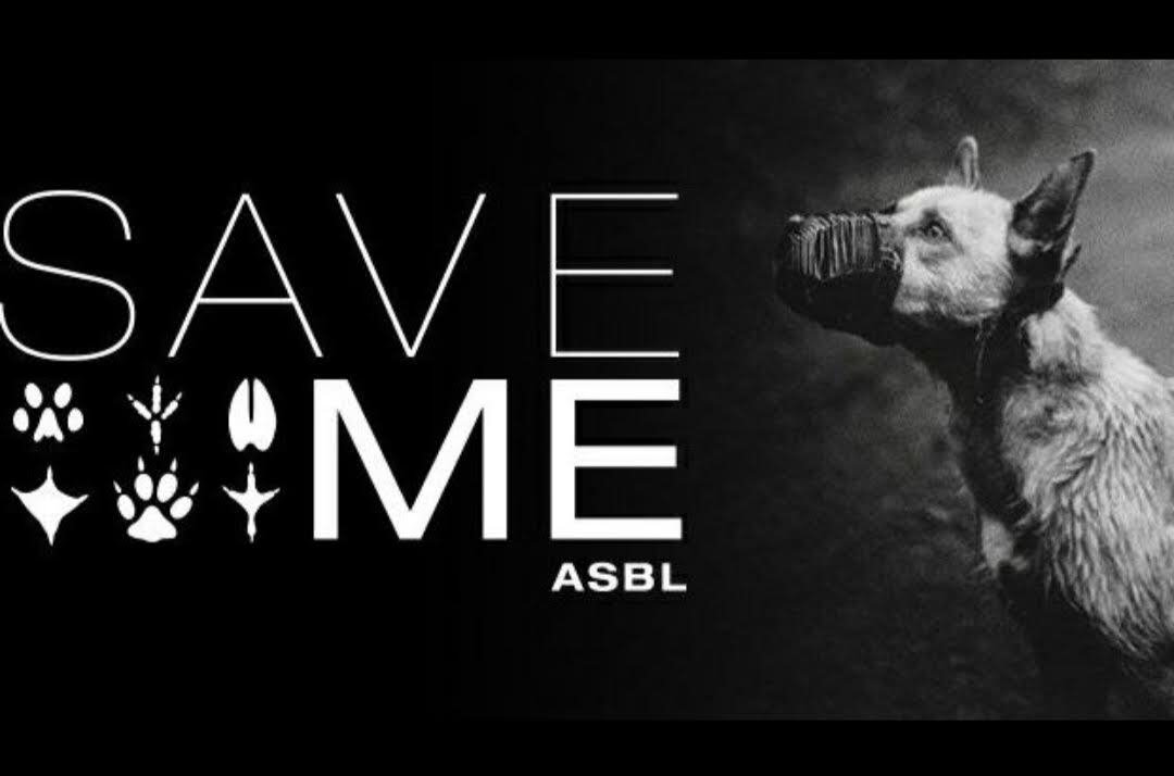 ASBL SAVE ME