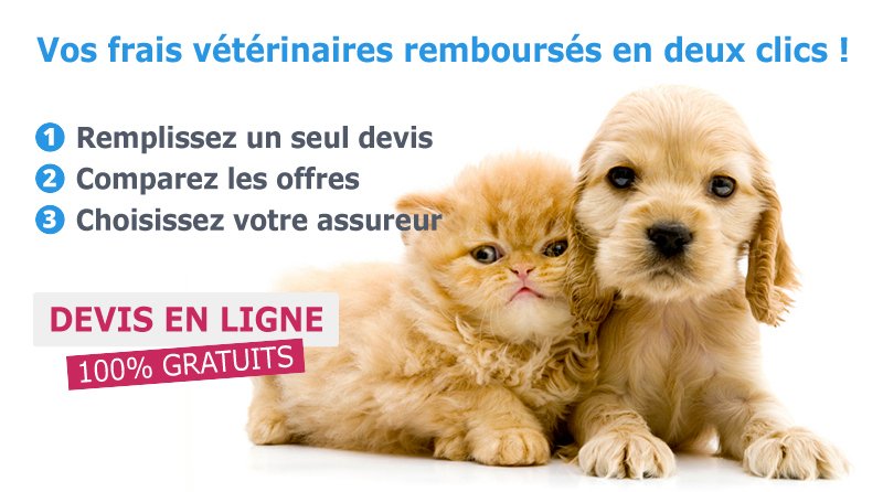 ASSURANCE -ANIMAUX.BE