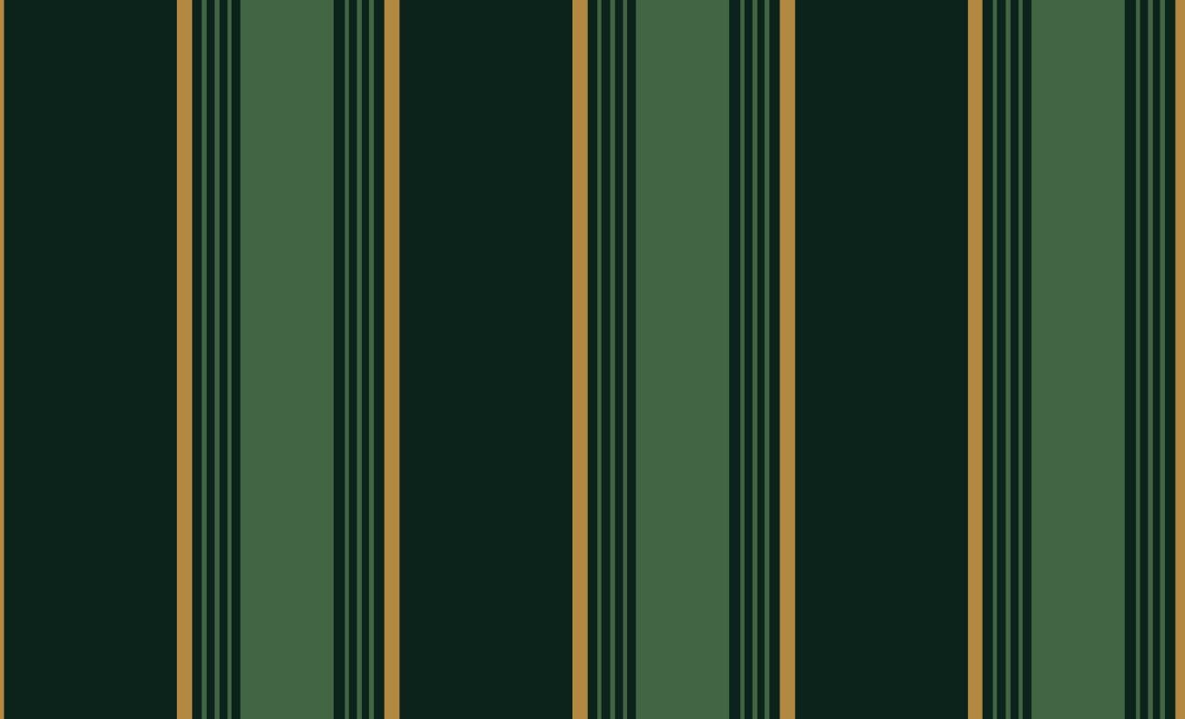 Modern Stripe