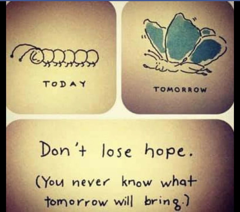 A HOPEiness is a little bit of HOPE and a little bit of Happiness hybrid - it's as if HOPE and happiness had a baby and named it HOPEiness.  Now and then on our social media pages, we sprinkle them with a HOPEiness quote encouraging our followers to stay hopeful, be happy and make an impact to those around them. If you'd like to signup to submit a HOPEiness, please click this link: