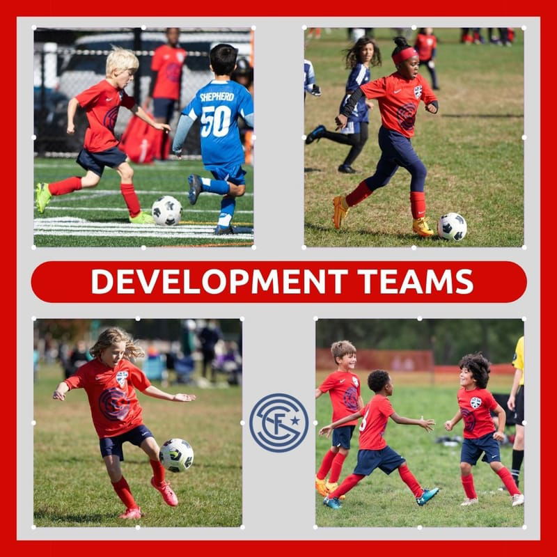 Development Teams