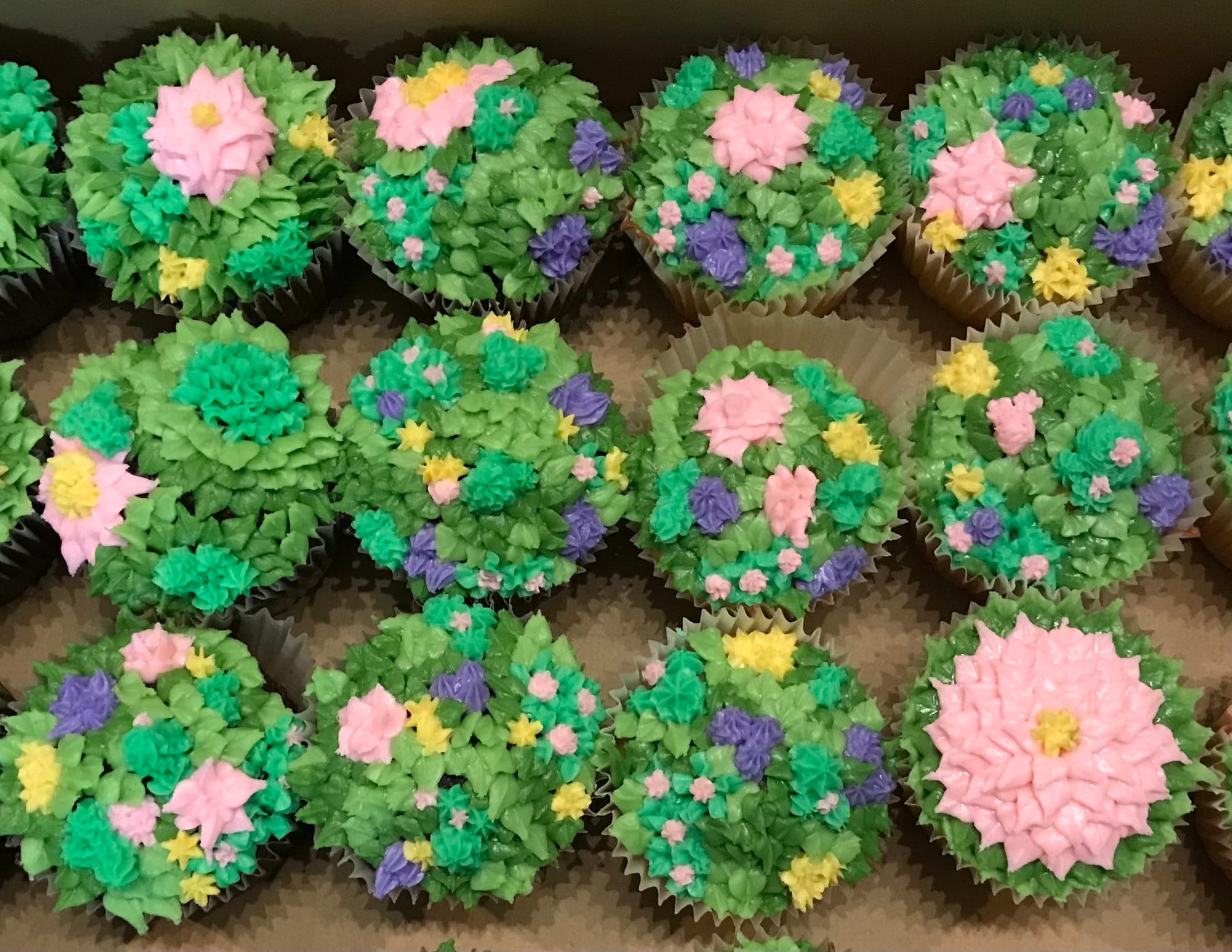 Vanilla Succulent Cupcakes With Buttercream Frosting