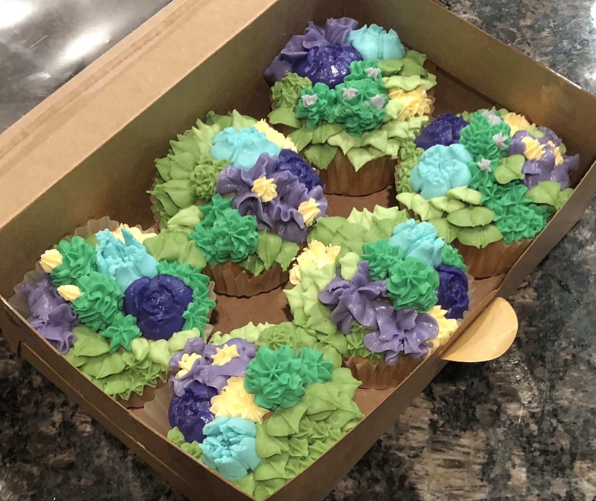 Chocolate And Vanilla Succulent Cupcakes