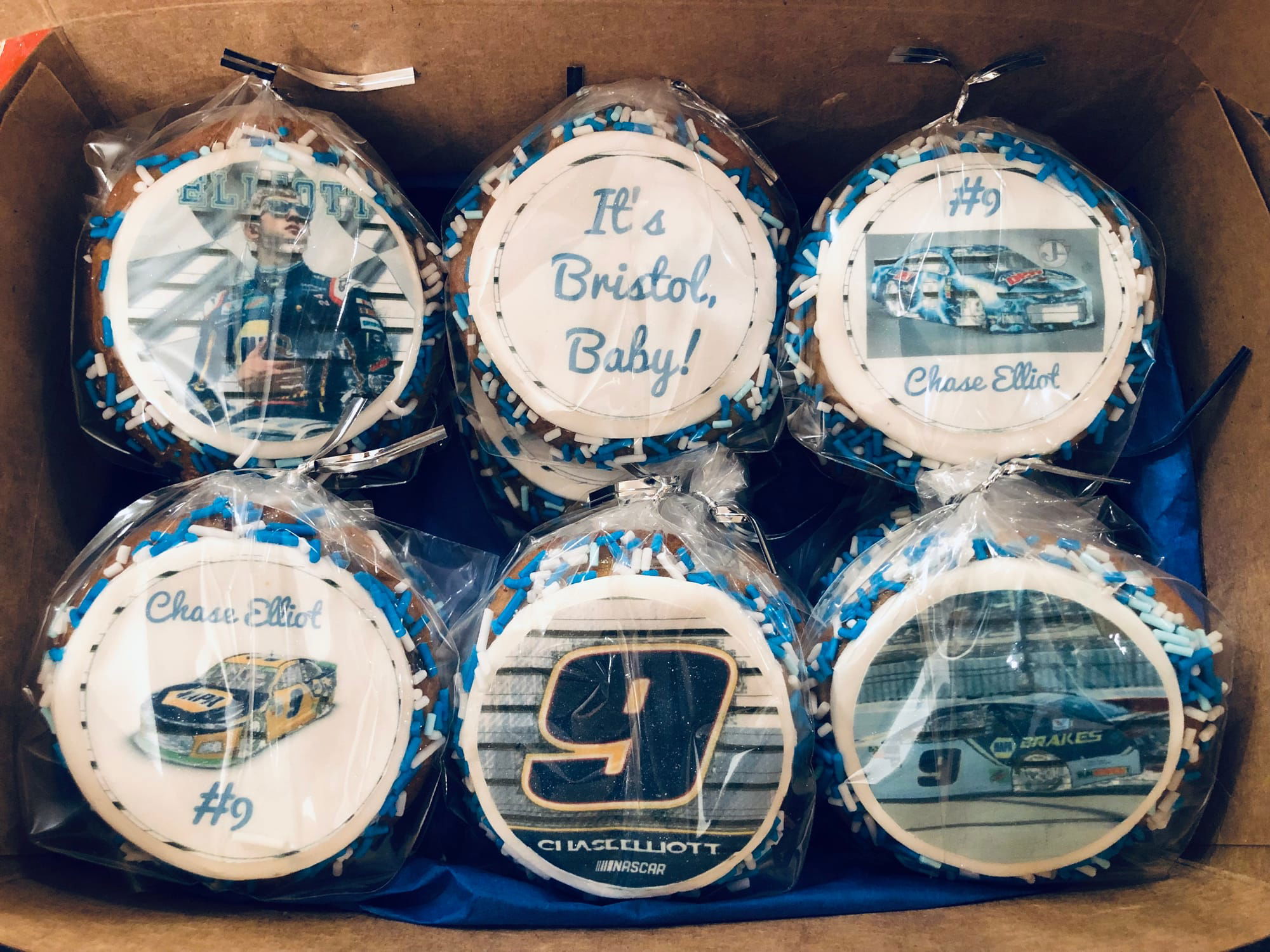 Chase Elliot #9 Racer Chocolate Chip Cookies with Edible Images