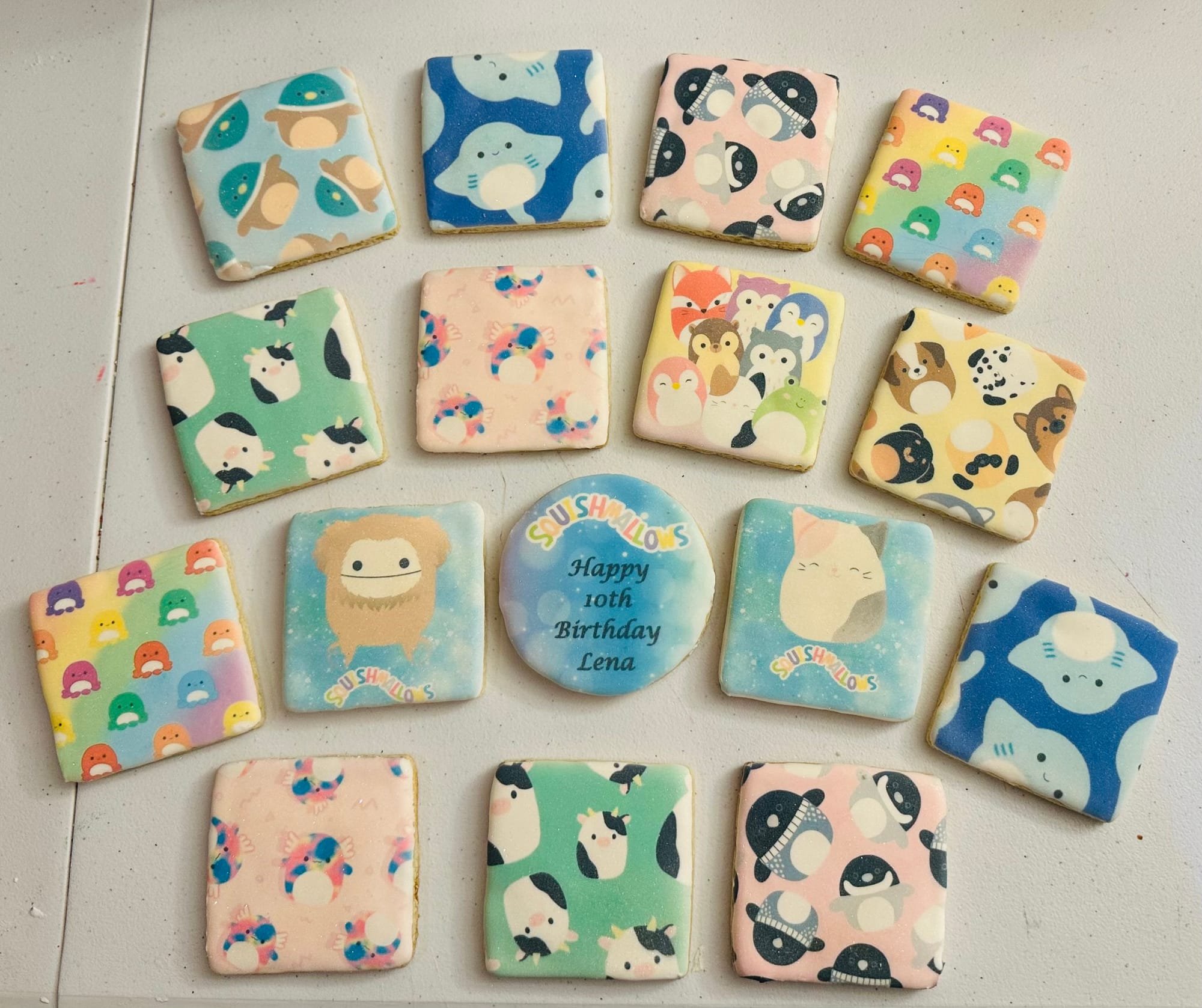 Squishmallow Royal Icing Sugar Cookies with Image
