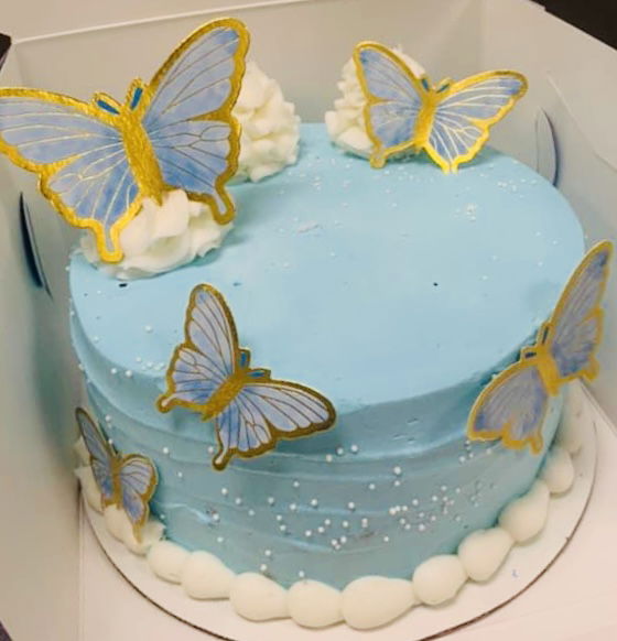 2 Layer Chocolate and Vanilla Butterfly Cake with Buttercream Frosting