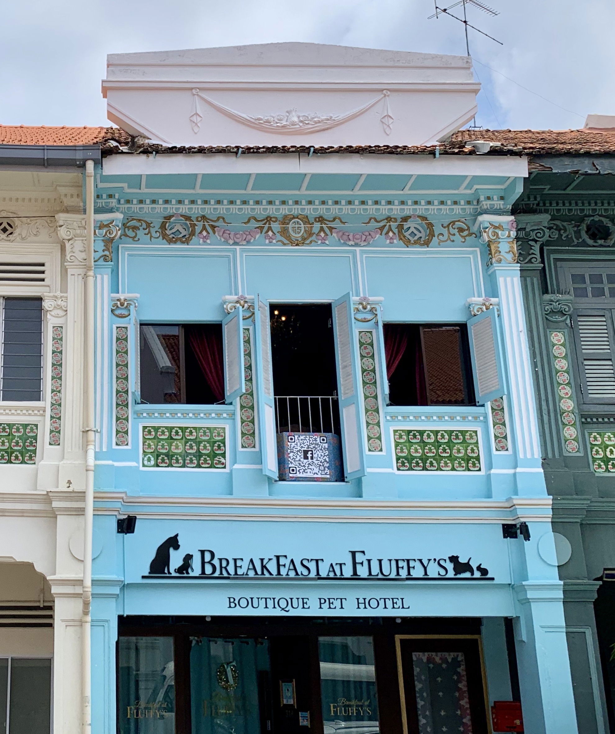 BreakFast At Fluffy's Boutque Pet hotel (Joo Chiat) Miracle Pro Singapore