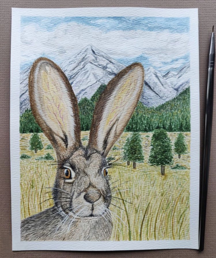 “Home of the black-tailed Jackrabbit” by Pamela Hohensinn