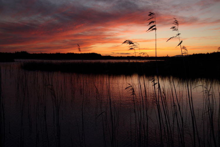 killadeer lough