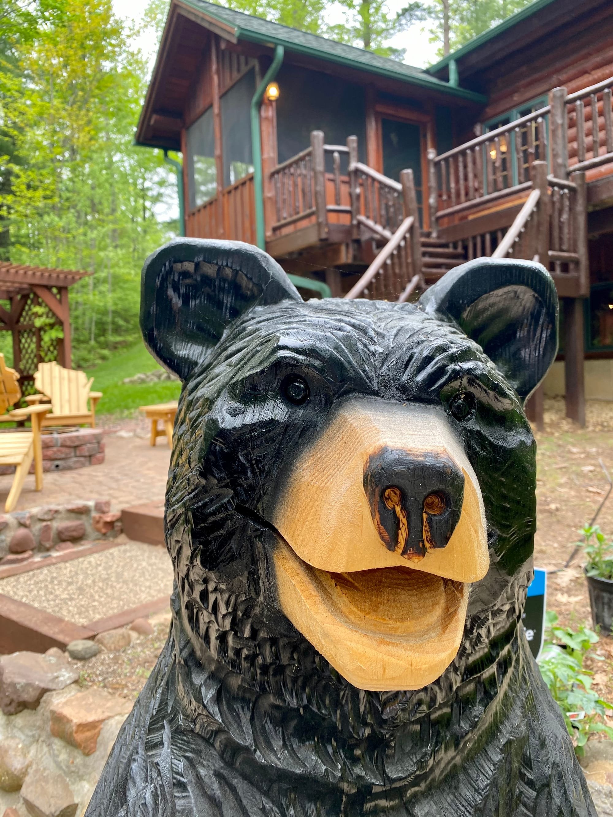 Wisco Bear, Selfie station