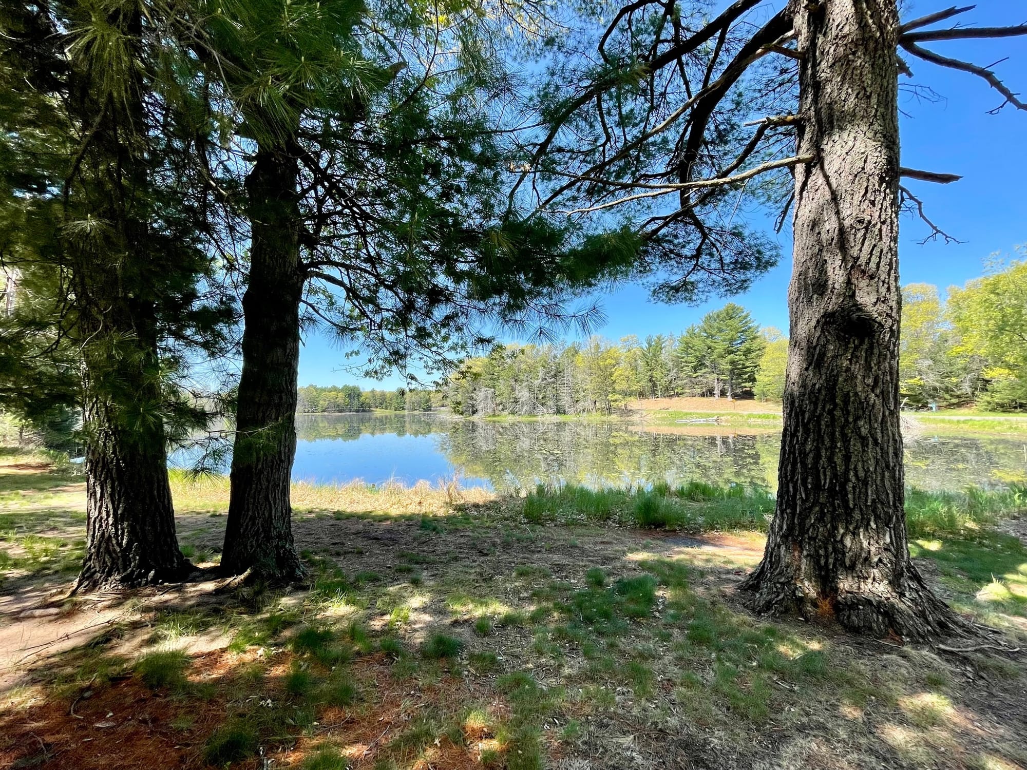 Private Beach at Birch Island Lake