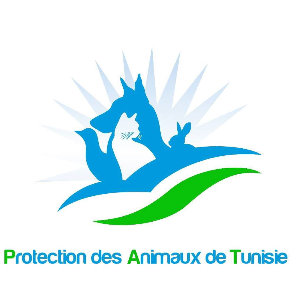 Reportage sur l'association PAT ( refuge animalier en Tunisie).