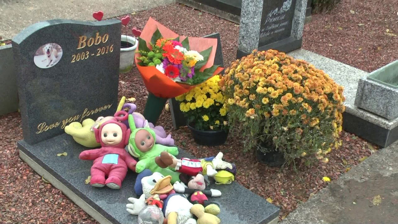 A voir ou revoir notre reportage sur le cimetière pour animaux à Liège