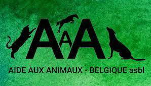 Rencontre avec François HASCHER, qui nous parle de L'ASBL AAA ( aide aux animaux Belgique)