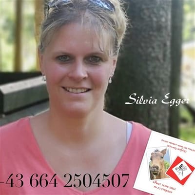 Silvano Vermittelt! image