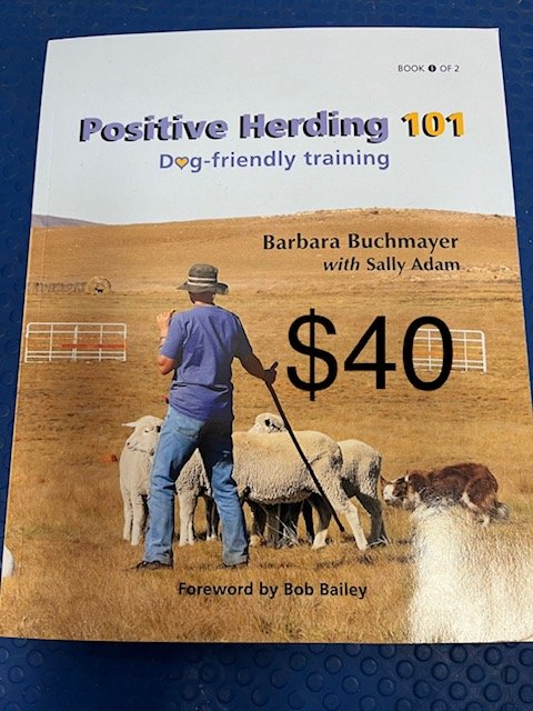 $40 Positive Herding 101; Dog-Friendly Training