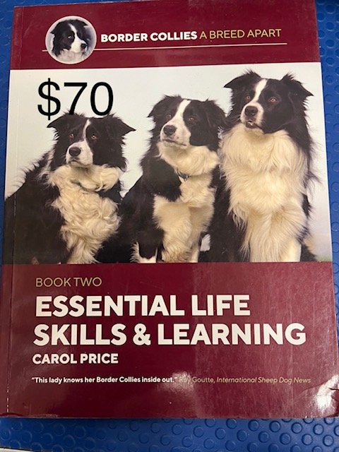 $70 Essential Life Skills and Learning by Carol Price