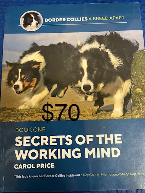 $70.00 Secrets of the Working Mind by Carol Price