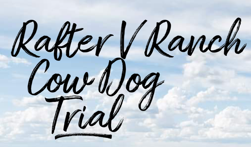 Rafter V Ranch Cow Dog Trial