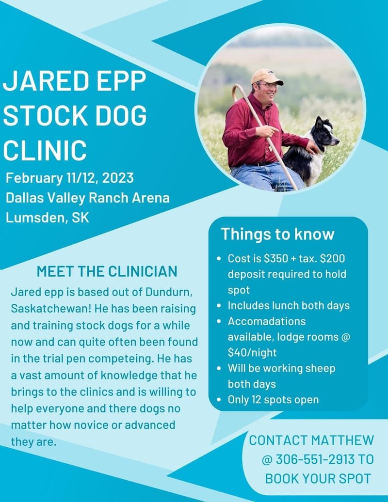Jared Epp Stock Dog Clinic