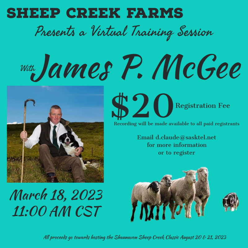 Jame P. McGee Webinar