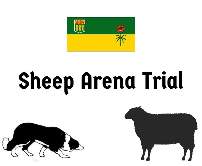Lanigan Sheep Trail