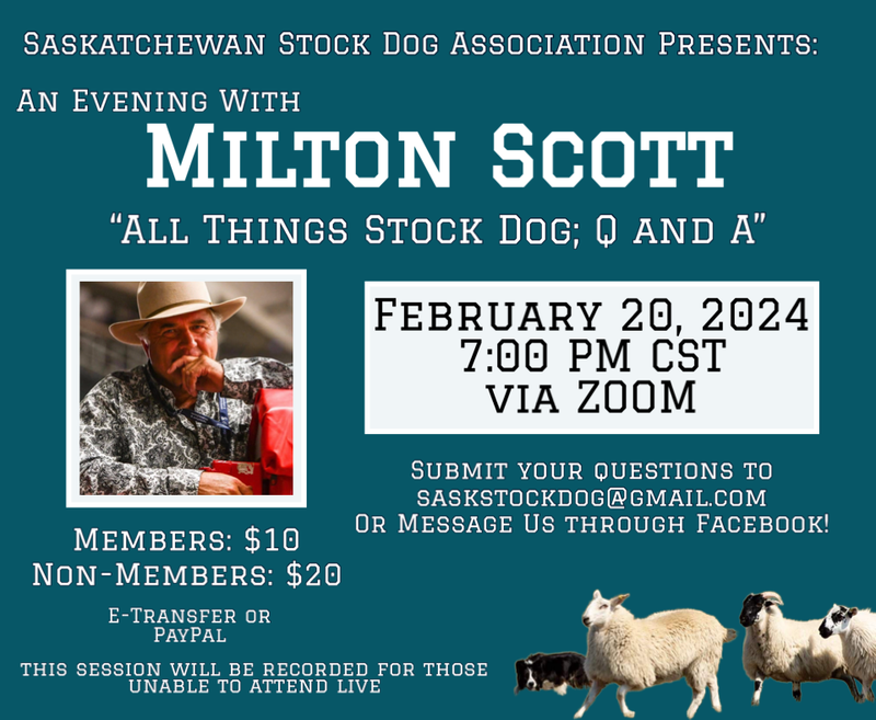 Milton Scott: All Things Stock Dog Q and A