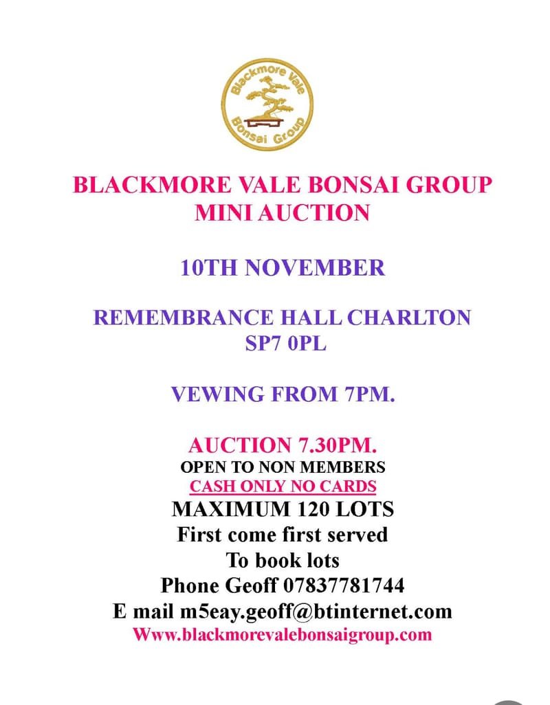 Blackmore vale mini auction