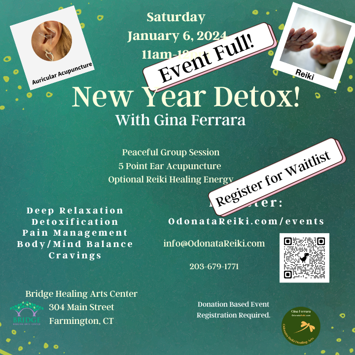 New Year Detox! Acupuncture and Reiki (WAITLIST) - Copy