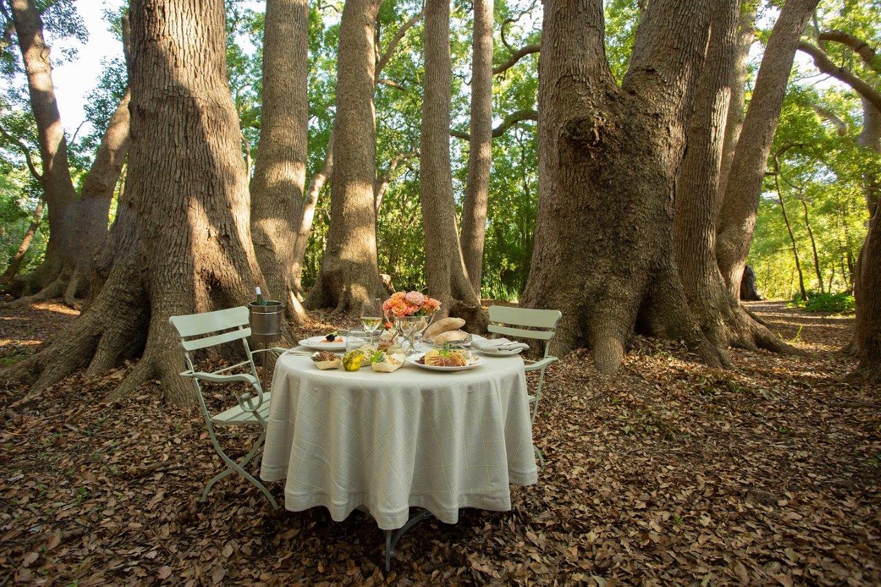 Picnic pleasure at Vergelegen Wine Estate